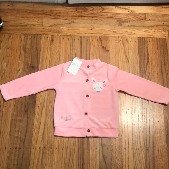 year of Rabbit ! - Picture 1 of 11